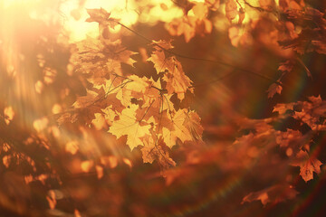 abstract autumn fall background leaves yellow nature october wallpaper seasonal