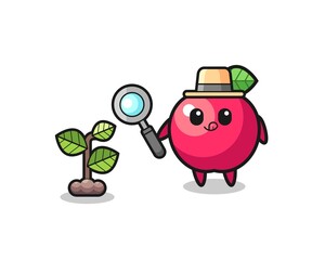 Fototapeta premium cute apple herbalist researching a plants