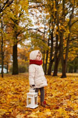 Baby girl in autumn leaves. Candle house.