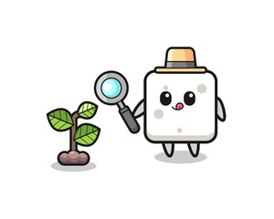 cute sugar cube herbalist researching a plants