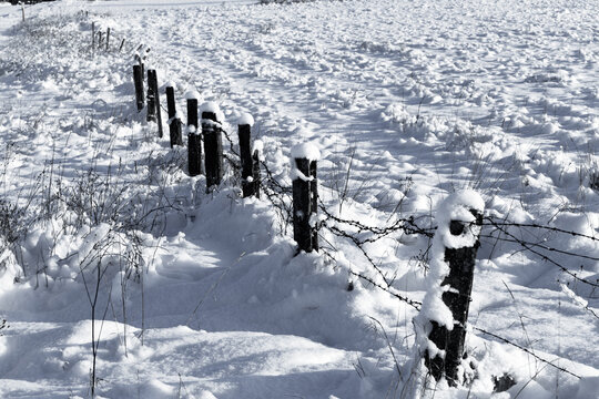 Barbed wire fence with snow © romantsubin