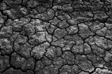 texture desert drought background abstract earth cracked warming global
