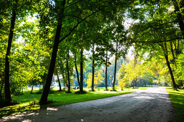 English Garden in Munich, autumn, golden October
