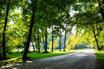 English Garden in Munich, autumn, golden October © Dagmar Breu