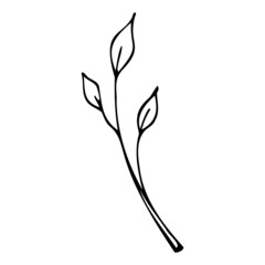 Hand drawn tree leaf illustration in doodle style.