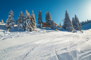 Obraz premium Fabulous place with wooden chalet in the snowy forest, Romania