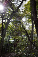 日本の岡山県新見市の荒戸山の美しい風景