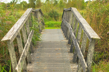 Footbridge in the Lauwersmeer National Park, one of the most beautiful nature reserves and bird...