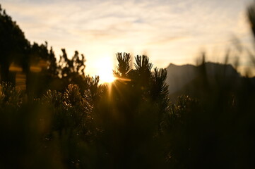 sunrise in the mountains, colourful sunrise with sunrays and colourful sky in autumn with fall colours,