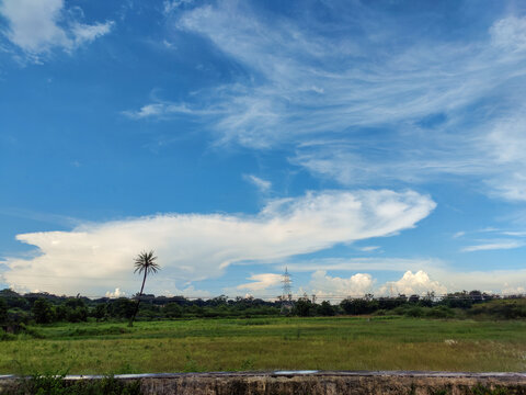 Stock photo of a Landscape with white clouds floating on blue sky and land covering with green grass. Iron light pole and coconut trees installed in the green grass field during rainy season in India