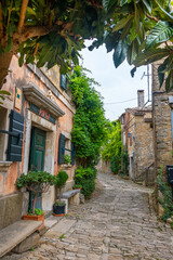 Fototapeta na wymiar Views and Impressions of the little artists Village Groznjan, Istria, Croatia