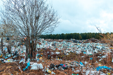 Verkhnie-Sergi, Russia - May 02, 2021. a terrible dump with plastic bags blown up by the wind....