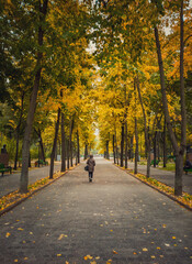 Young woman walking on the alley in the empty autumn park. Beautiful view and silence, colorful leaves fallen on the ground and trails of Stephen III The Great square in Chisinau city, Moldova.