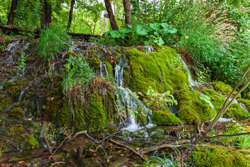 Streams and waterfalls in Plitvice Lakes National Park in Croatia