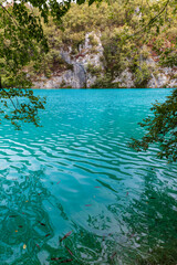 fish swimming in a lake made in the Plitvice Islands National Park of Croatia