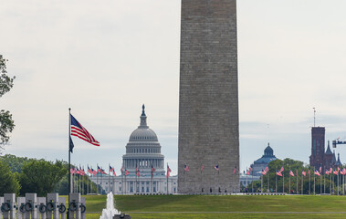Capitol Building with US flags - Washington DC, USA.
