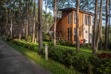 Fototapeta na wymiar The modern house on the Tiga forest on Thailand