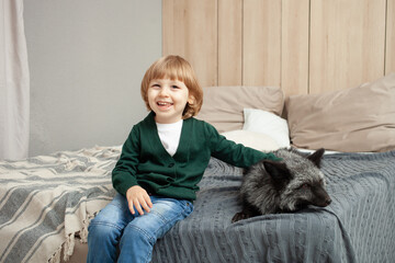 child and a fox lie on the bed, an exotic pet, a predator indoor. Brown fox in the room, care and love for pets. Friendship. the boy is happy, smiling, a gift.