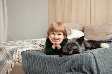 child and a fox lie on the bed, an exotic pet, a predator indoor. Brown fox in the room, care and love for pets. Friendship. boy happy, smiling, satisfied with life, friends