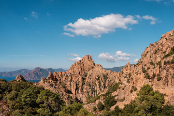 The D81 road winding through the dramatic rock formations of the Calanches of Piana in Corsica