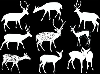 nine isolated white deers