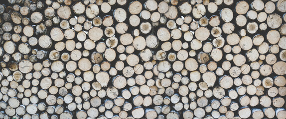 Stack of tree trunks. Texture background