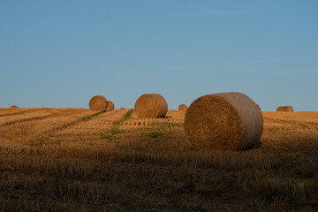 Strohballen auf dem Feld