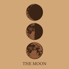 The Moon, Moon Phases in modern colors, contemporary aesthetic poster, background or card template in popular art style
