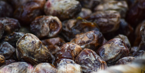 Dates fruit close up, fresh raw ripen sweet palm food Ramadan ingredient photo