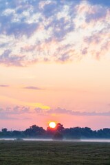 Beautiful wild nature meadow with frozen grass and flowers on a winter morning with golden sunrise light