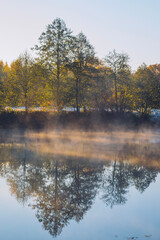 
Autumn landscape of nature. Colorful red foliage on the branches of a tree by the river in the early morning
