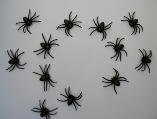 set of spider