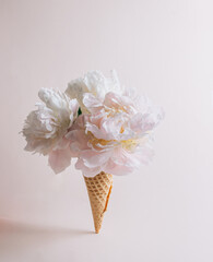 Creative layout and composition of waffle cone and white peonies on beige background. Levitation