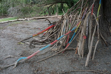 painted wood sticks leaning on tree trunk in the park