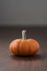 Small orange pumpkin on black walnut table with white wall background