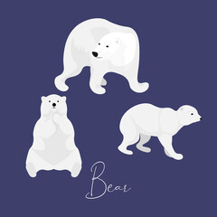 Polar bear set  on dark background, Winter with white bear. Vector illustration design element in flat cartoon style.