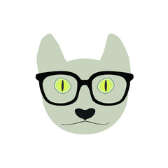 Intelligent grey cat with black frame glasses.