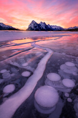 Stunning sunrise with trapped frozen methane bubbles within ice surface, Lake Abraham, Alberta....