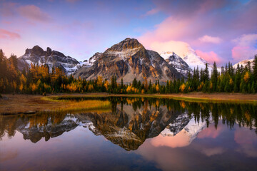Mount Assiniboine with autumn forest and beautiful sunrise reflection at Alberta, Canada