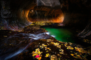 Stunning bouncing sunlight into icicle at wall of Subway in autumn, Zion National Park