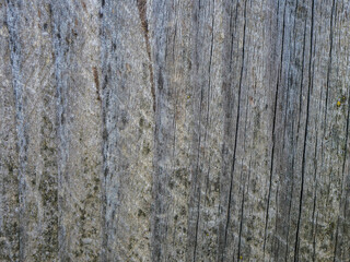 Old, aged, weathered pine wood board close up shot for background.