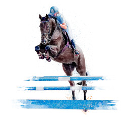 Jockey on horse. Black Horse. Champion. Horse riding. Equestrian sport. Jockey riding jumping horse. Poster. Sport. White background. Isolated watercolor Illustration © mari
