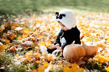 Happy little child in panda costume holding pumpkin. trick or treat