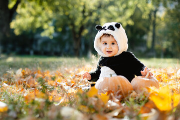 Happy little child in panda costume holding pumpkin. trick or treat