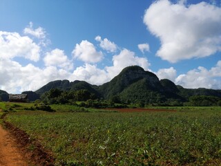 Viñales Cuba