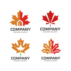 creative logo collection with maple leaf