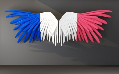 wings in the color of the flag of france
