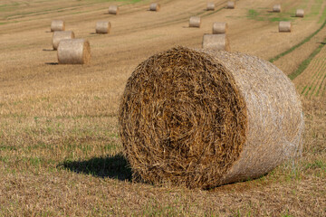 Strohballen auf dem Feld
