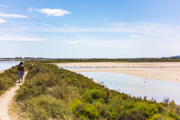 Vue sur les anciens bassins des salins de Frontignan (Occitanie, France)