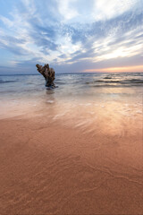 log lying on the shore of an abandoned beach / troubled water dawn morning